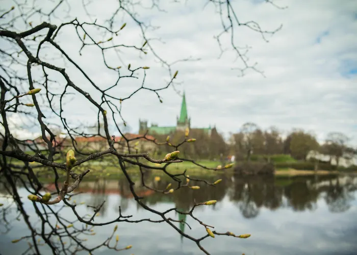 Living Sentrum 3* Trondheim